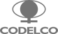 320px-Codelco_logo.svg-1